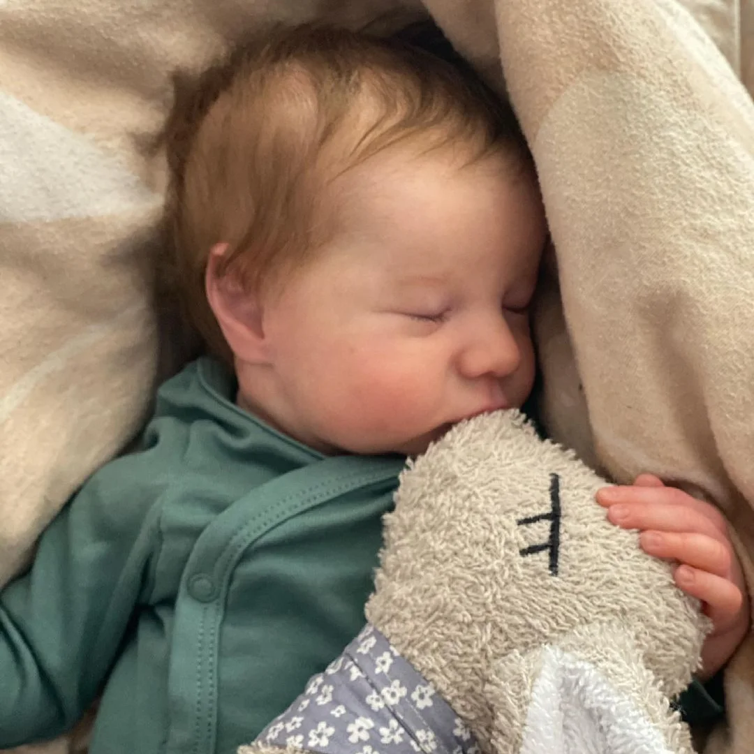 Reborn Baby Boys 12'' Real Lifelike Cute Reborn Baby Doll with Rooted Hair Sleeping Named Eloise -Creativegiftss® - [product_tag] RSAJ-Creativegiftss®