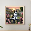 Chats-Plein diamant rond peinture-30 * 30cm