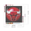 Diamond Painting -DIY Round Drill Chicago Bulls