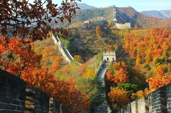 Beijing Tour from the Airport: What Can You See Before Your Next Flight?