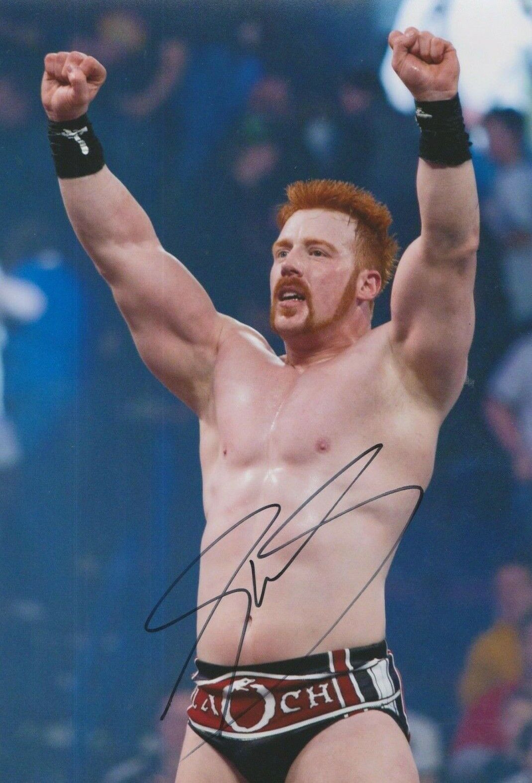 Sheamus (WWE) **HAND SIGNED** 12x8 Photo Poster painting ~ AUTOGRAPHED