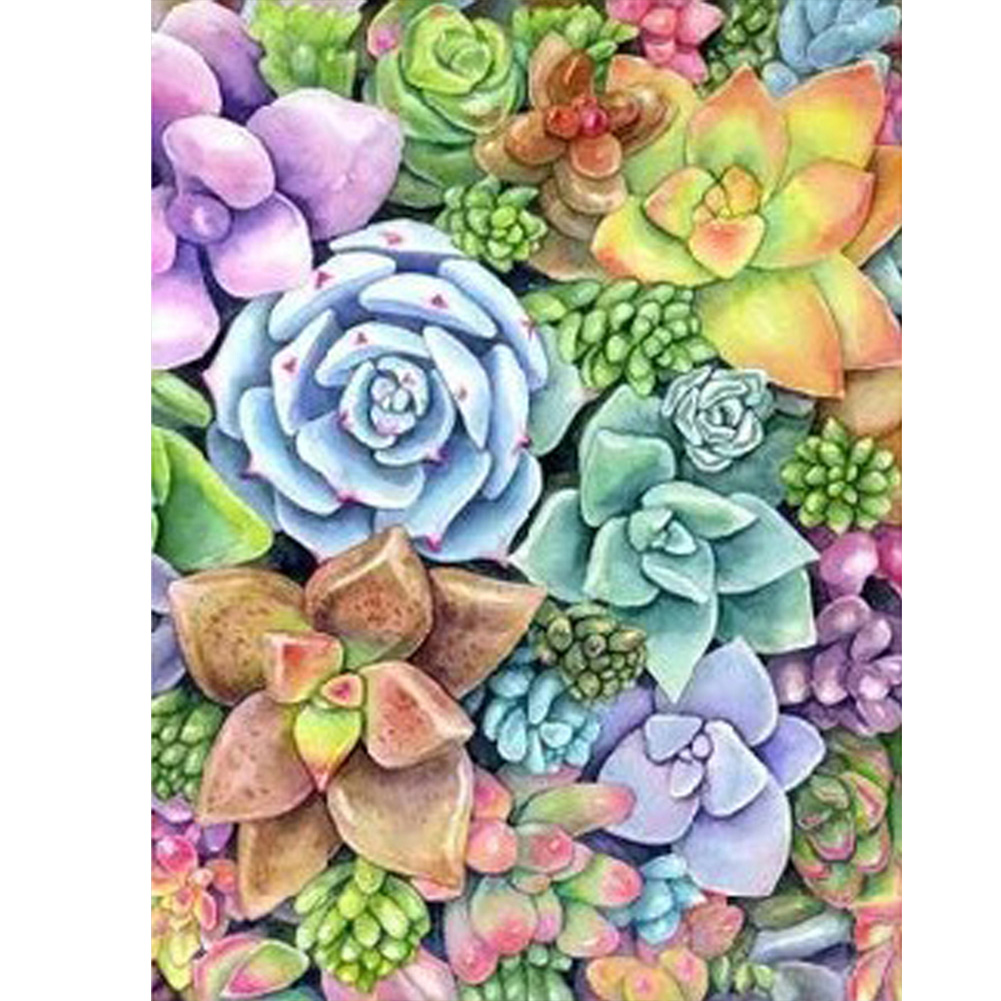 

40*50CM - Square Drill Diamond Painting - Succulents Plant, 501 Original