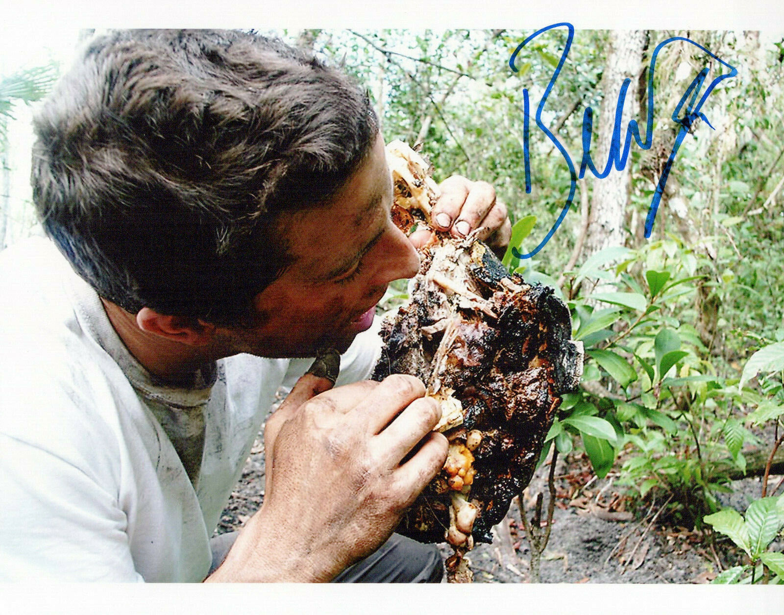 Bear Grylls Man Vs. Wild autographed Photo Poster painting signed 8x10 #1