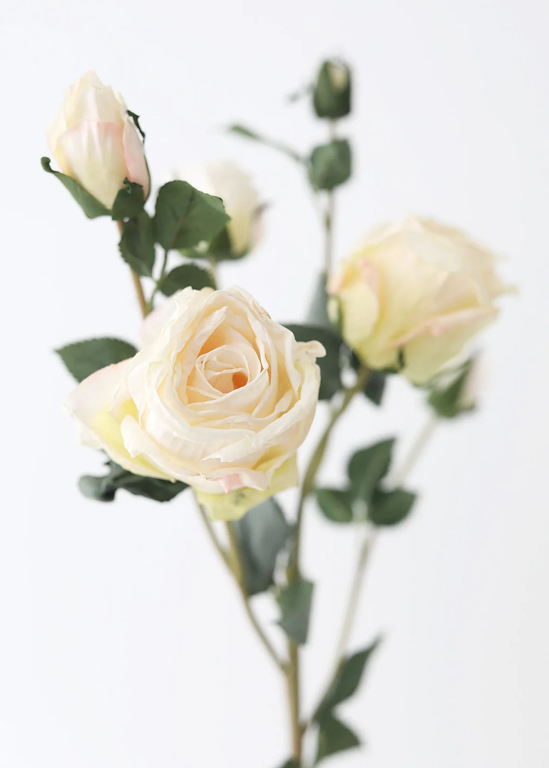 Faux Dried Rose in Cream - 27.5"