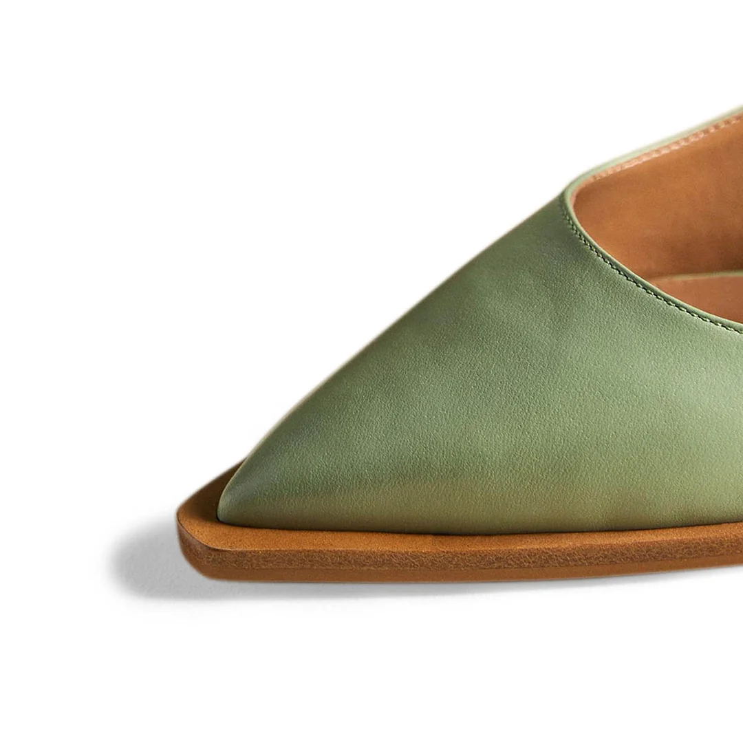 Green Buckle Strap Pointed Toe Flat Mary Jane Shoes for Women