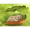 uk.everydayedeals (Limited Stock)Diamond Painting - Full Square - Sleeping Rabbit(40*50cm)
