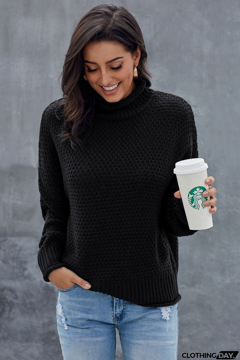 Black Chunky Batwing Long Sleeve Turtleneck Sweater