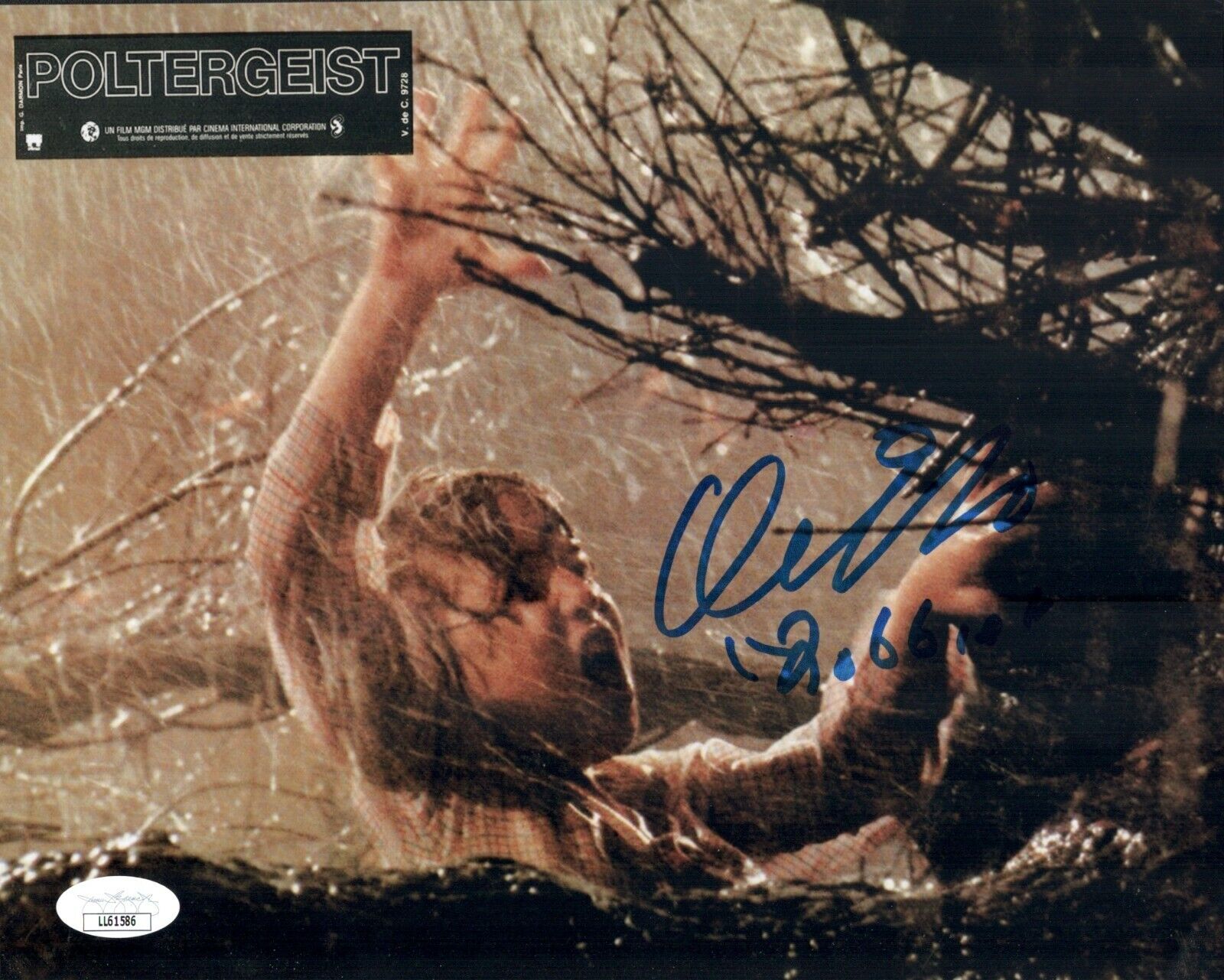 OLIVER ROBINS Signed ROBBIE 8x10 Photo Poster painting POLTERGEIST Horror Autograph JSA COA Cert