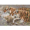 Two Tigers-14CT Stamped Cross Stitch 56*41cm/22.05*16.14in tapestrymarket