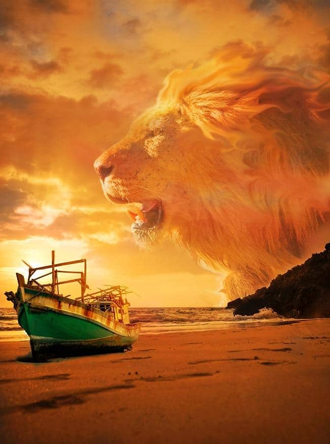 

Lion in Beach Sky – Paint By Numbers - 40*50CM, 501 Original