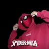 Spider-Man Helmet