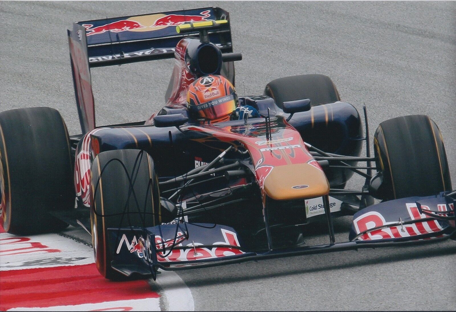 Jaime ALGUERSUARI SIGNED In Person AUTOGRAPH Red Bull12x8 Photo Poster painting AFTAL COA