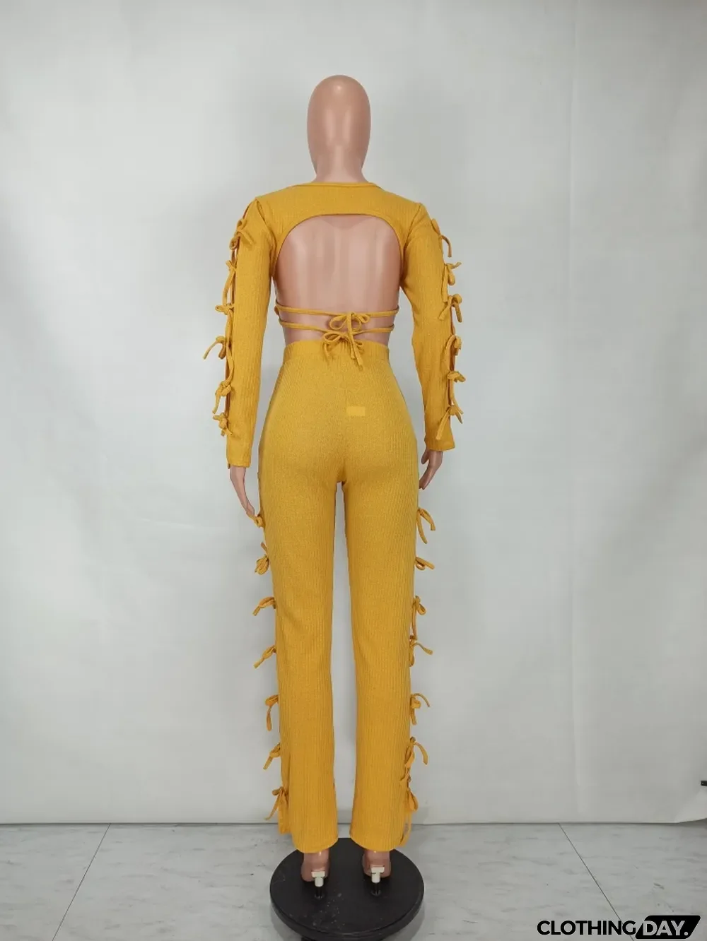 Spring Sexy Ginger Round Neck Hollow Out Backless Long SLeeve Crop Top and Match Pants wholesale Two Piece Sets