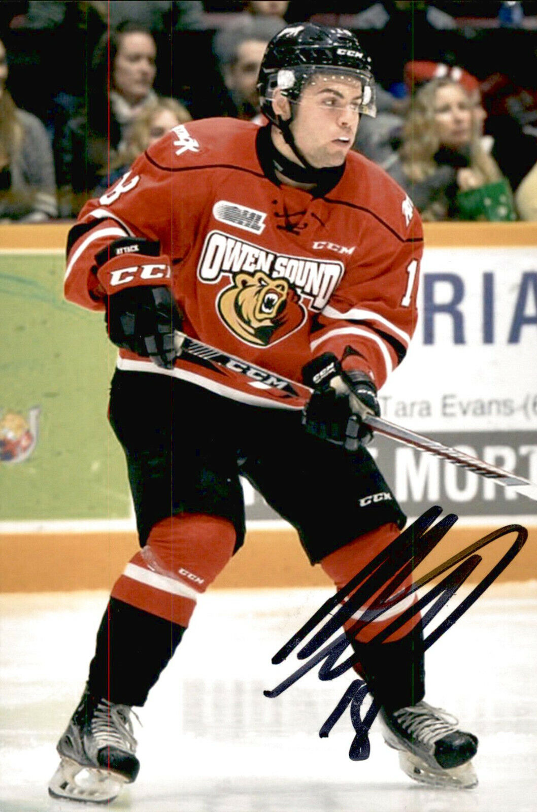 Markus Phillips SIGNED 4x6 Photo Poster painting OWEN SOUND ATTACK / LOS ANGELES KINGS #2