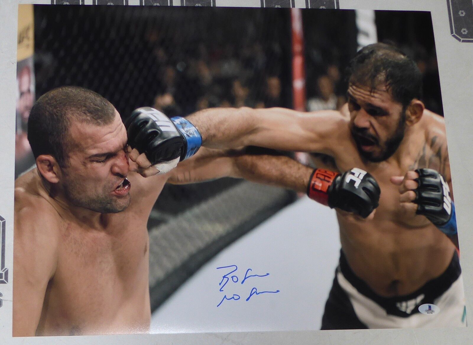 Antonio Rogerio Nogueira Signed 16x20 Photo Poster painting BAS COA UFC 190 Picture v Shogun Rua