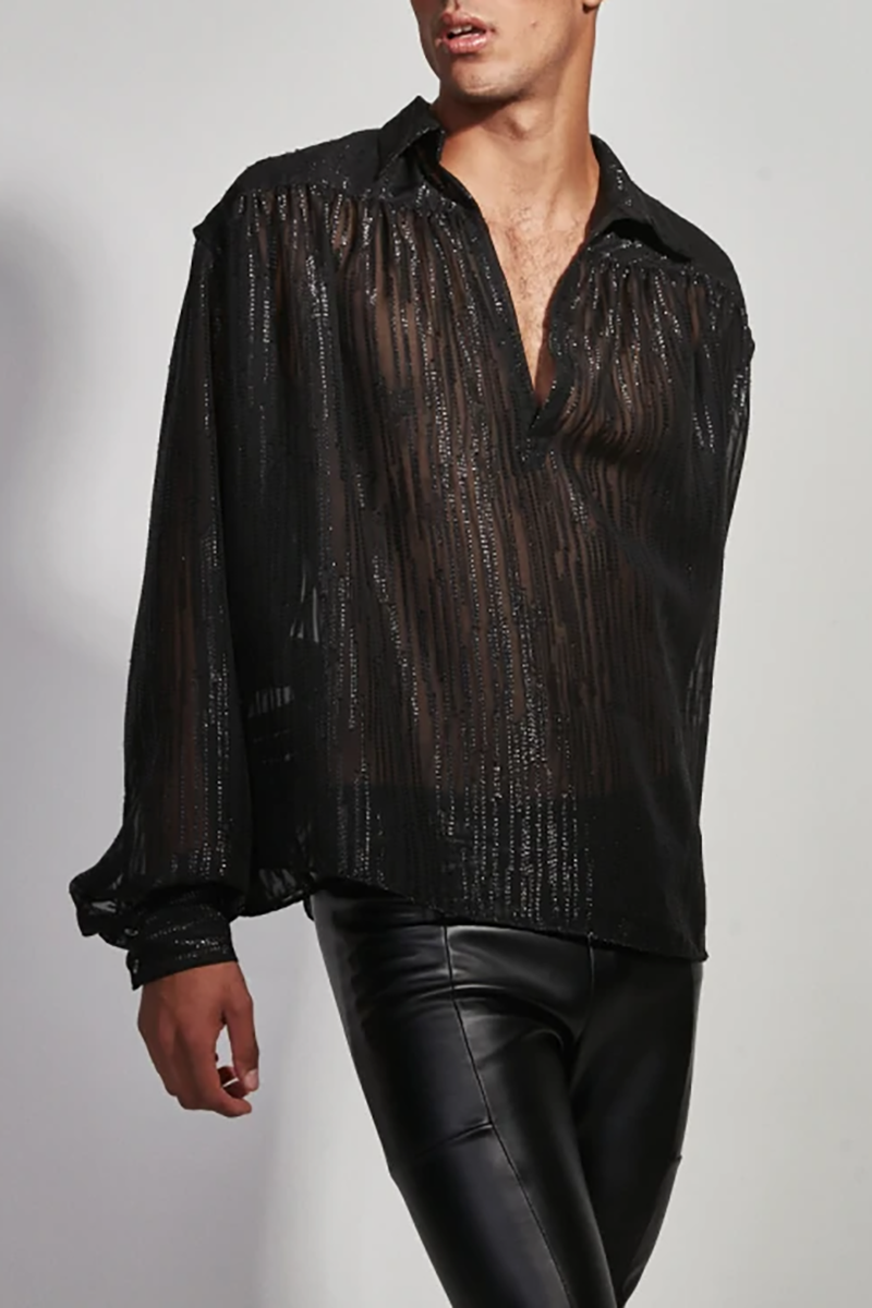 Ciciful See Through Mesh Glitter Lantern Sleeve V Neck Loose Fit Shirt