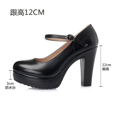 Breakj Breakj Head Shallow High Heels Buckle With T-Singexi Shoes Coarse Heel Model Performance Shoes Waterproof Table 33 Yards Women's Shoes