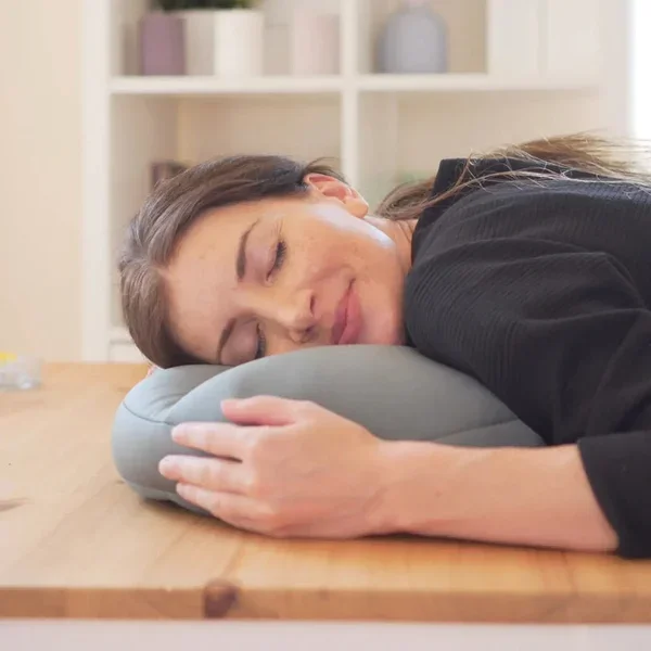 Sleep Neck Pillow（With Pillow Case）