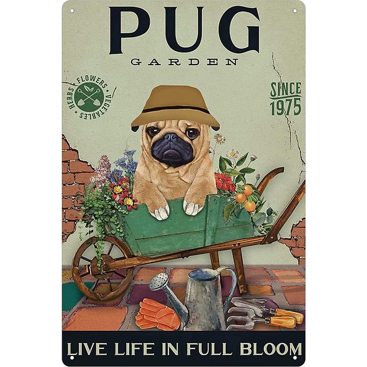 Pug - Vintage Tin Signs/Wooden Signs - 8*12Inch/12*16Inch