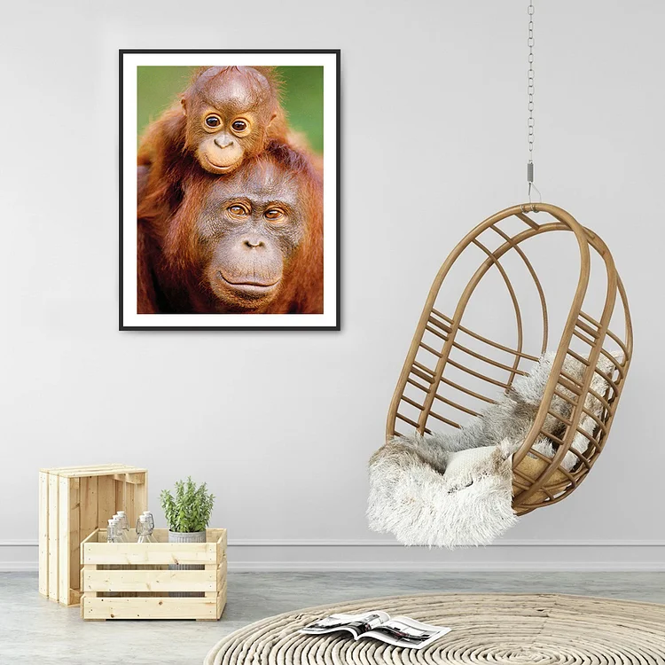 Orangutan Animal - 5D Diamond Painting 