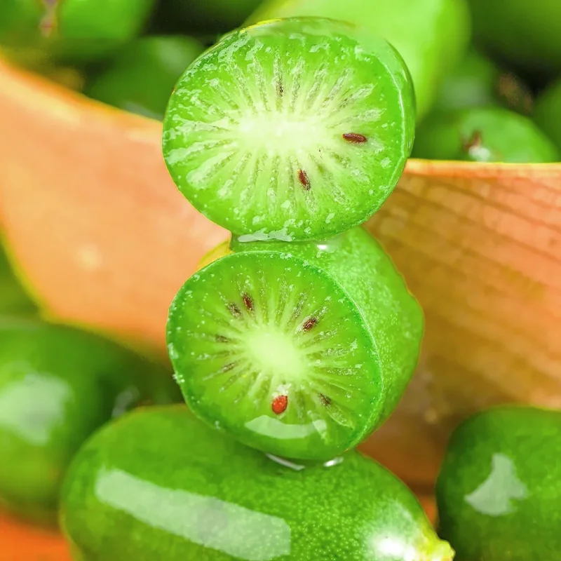 Rare Thumb Kiwi Seed