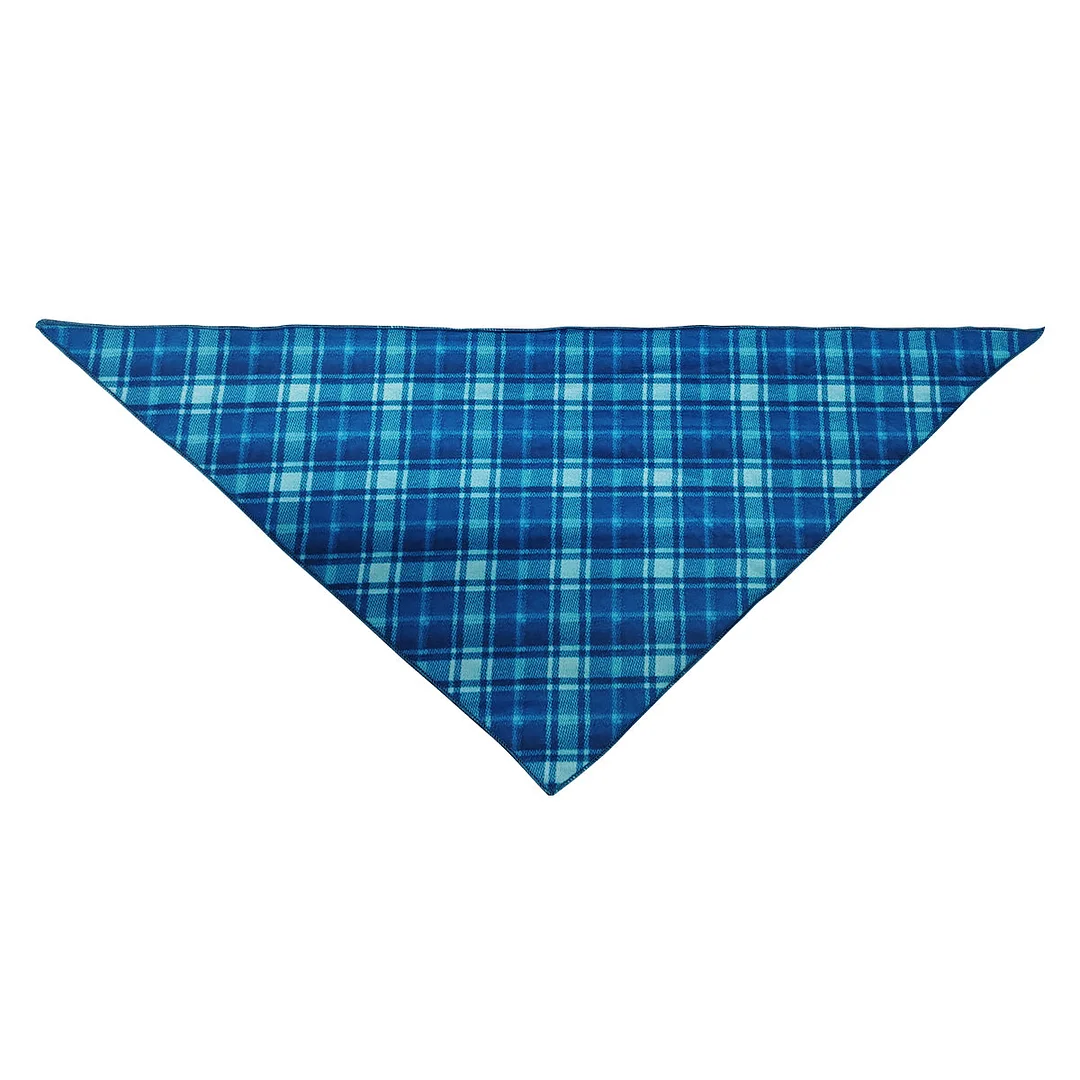 Snowflake and "Family Christmas 2024" Printed Blue Plaid Christmas Matching Pajamas