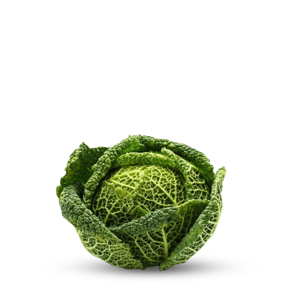 Savoy Cabbage Cabbage Aubervilliers Seeds