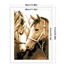 Horse - 9CT Partial Beaded Cross Stitch Kit(28x41cm)