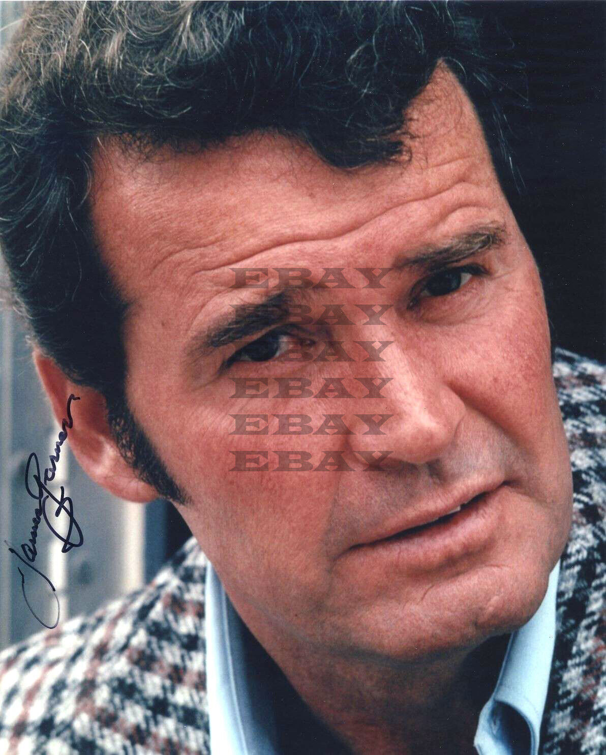 JAMES GARNER Autographed Signed 8x10 Photo Poster painting Rep