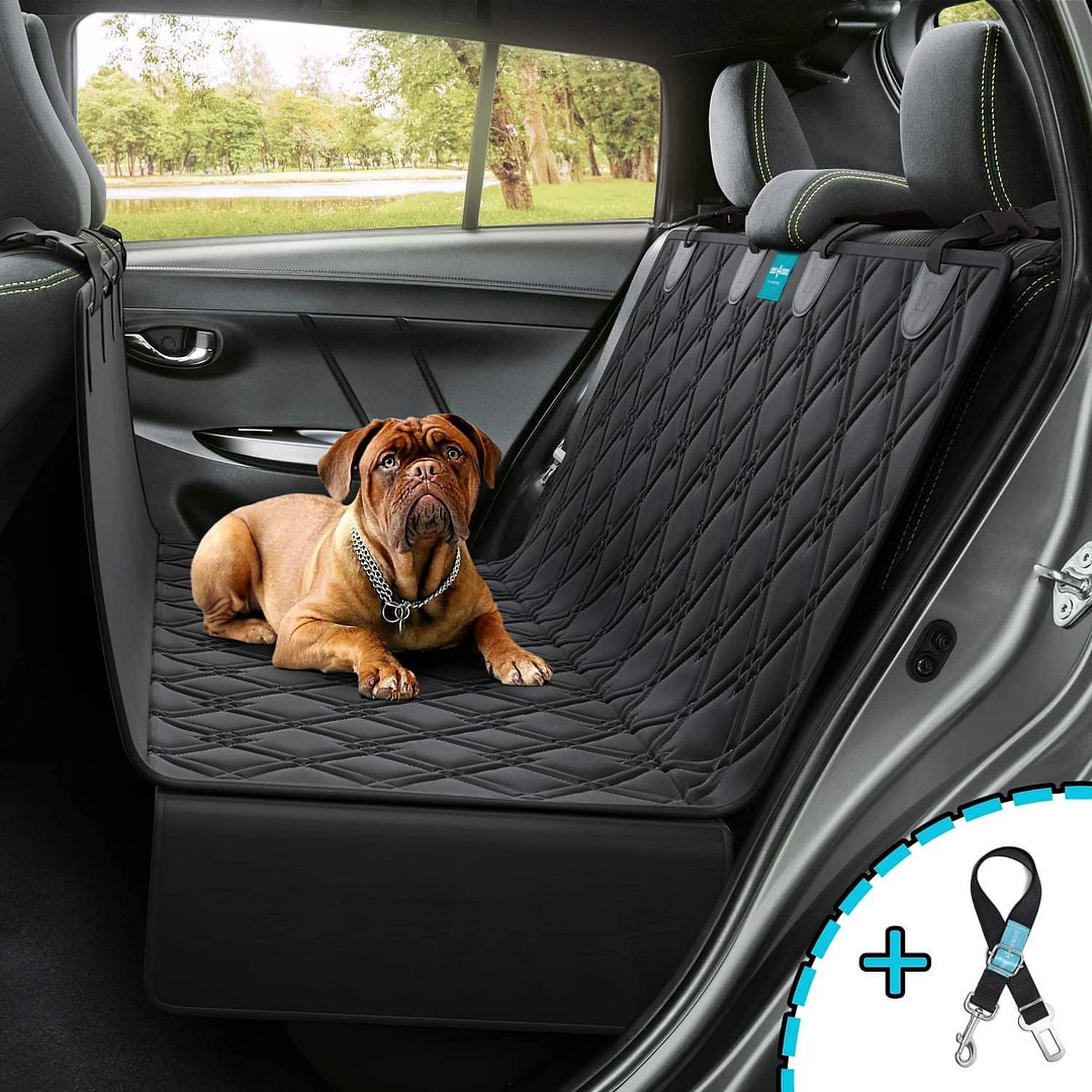 Multi-Function Seat Cover