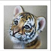 Cute Little Tiger    | Full Round Diamond Painting Kits