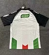 2025/2026 Club Deportivo Palestino Home Football Shirt 1:1 Thai Quality