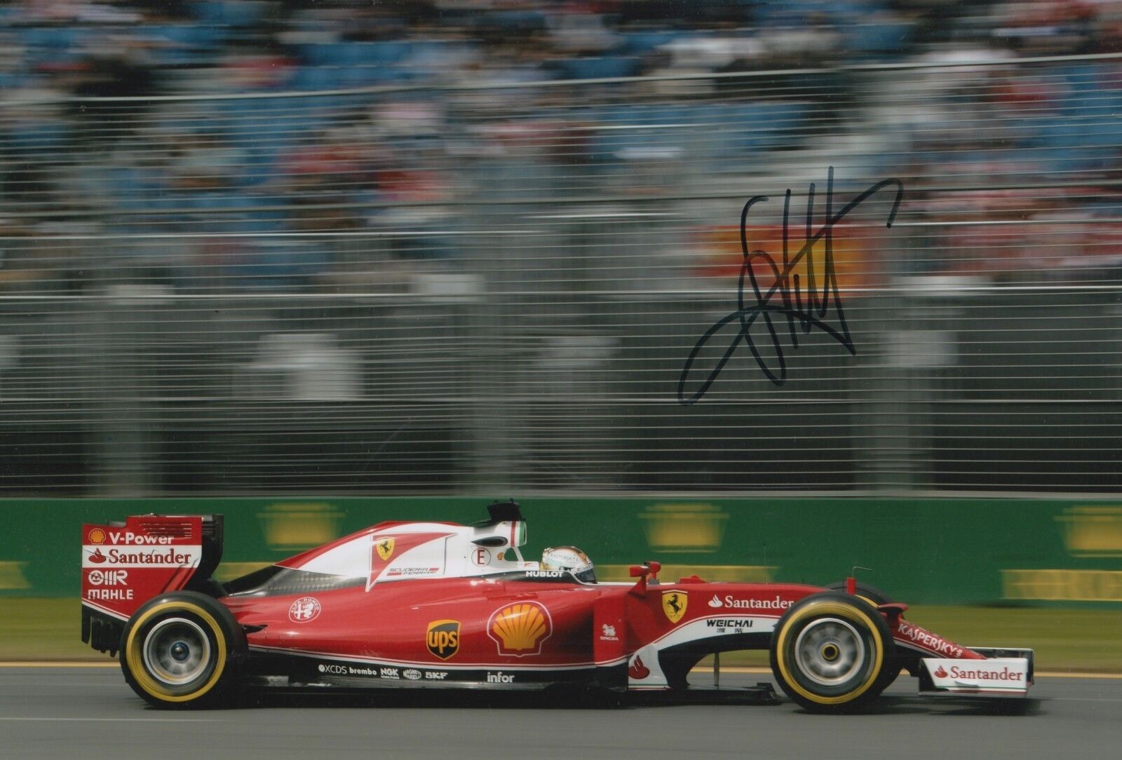 Sebastian Vettel Hand Signed Scuderia Ferrari 12x8 Photo Poster painting F1 1.