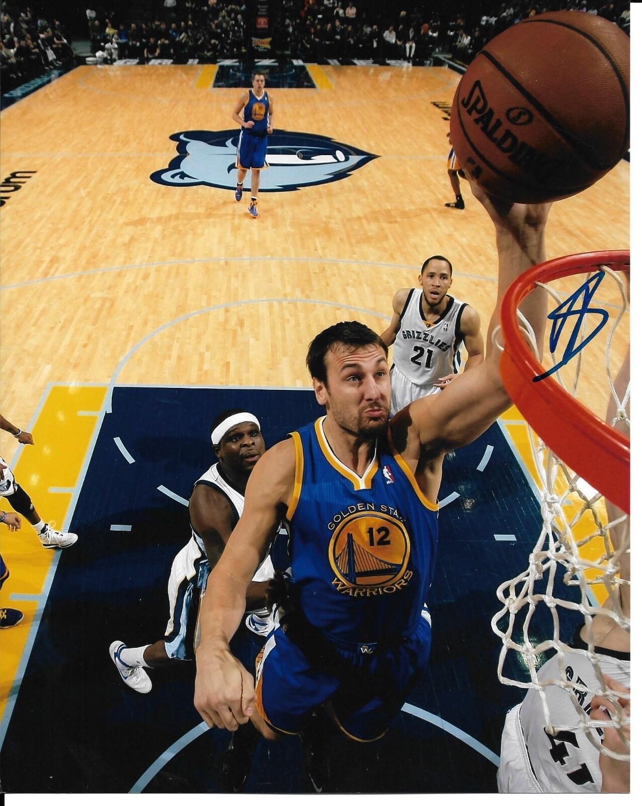 ANDREW BOGUT signed autographed 8X10 Photo Poster painting GOLDEN STATE WARRIORS w/COA