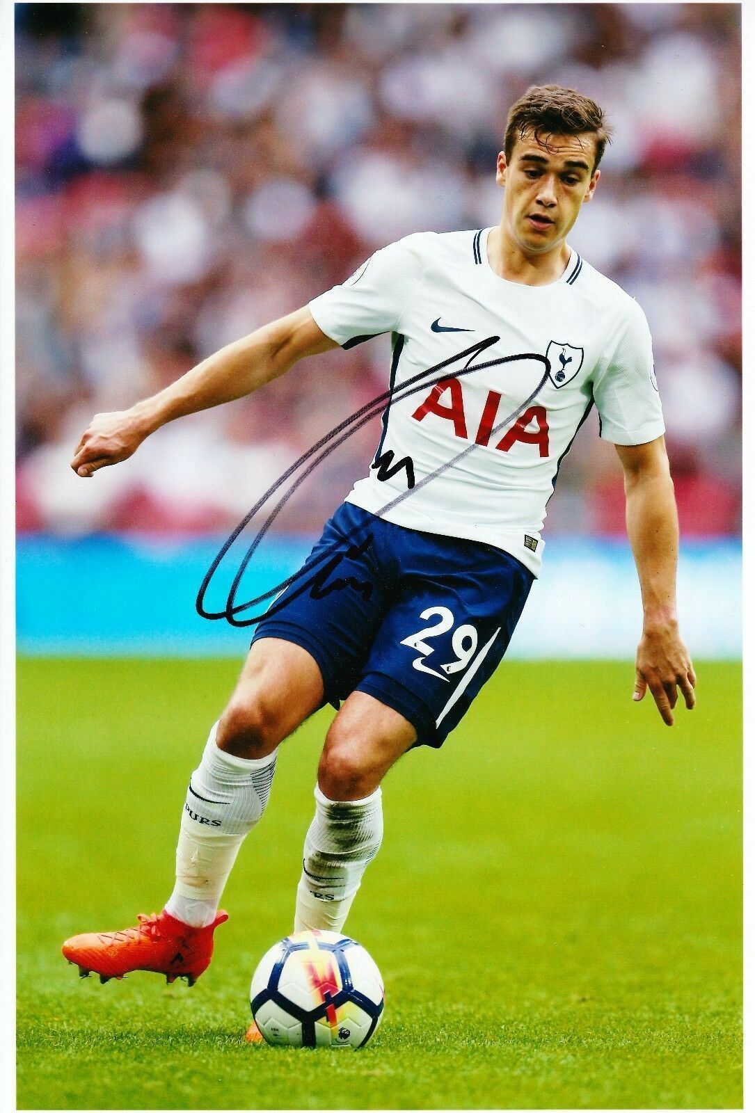 Harry Winks Signed 12X8 Photo Poster painting ENGLAND SPURS Tottenham Hotspur AFTAL COA (1887)