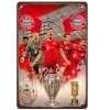 Football Star Bayern Trophy - Vintage Metal Signs(12*16Inch) - Football