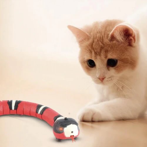 Cat Interactive Snake Toy