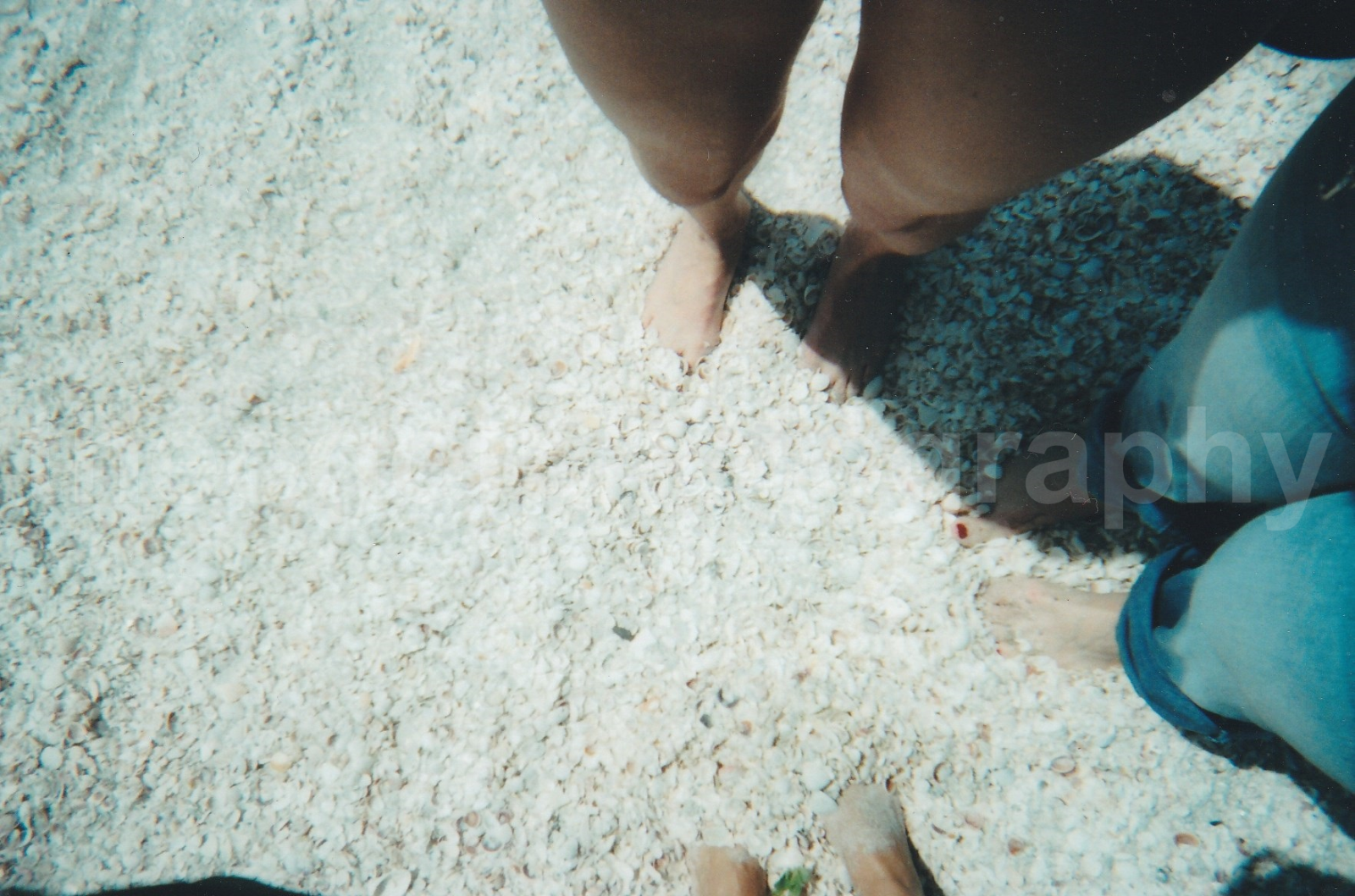 BEACH Leg Shot FOUND Photo Poster paintingGRAPH ColorOriginal VINTAGE Toes 22 34