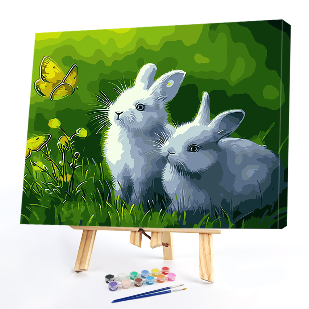 

40*50CM Paint By Numbers-Butterfly Rabbit, 501 Original