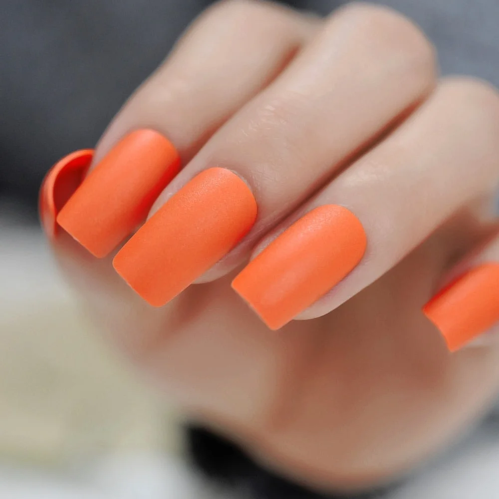 Gorgeous Cream False Nails Long Iridescent Matte Fake Nails Frost Art Design DIY Full Free Artificial False Nails 24-Nail Inspo