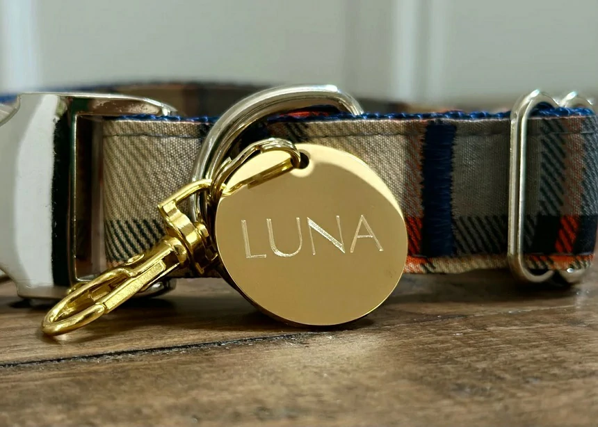 What to Put on a Dog ID Tag to Keep Your Pet Safe: Must-Have Info