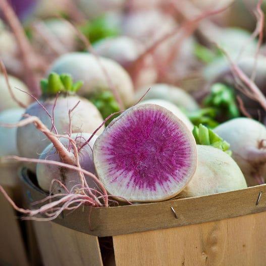 WATERMELON RADISH Beauty Heart Raphanus Sativus Pink White Vegetable Seeds Jonyparkseed®