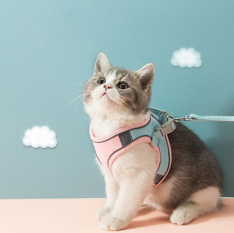 Escape-Proof Cat Harness And Leash For Walking