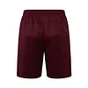 Fluminense 25/26 maroon red Short-Sleeve Training Kit