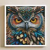 [Brand]Owl - 14CT Stamped Cross Stitch - 41*41cm