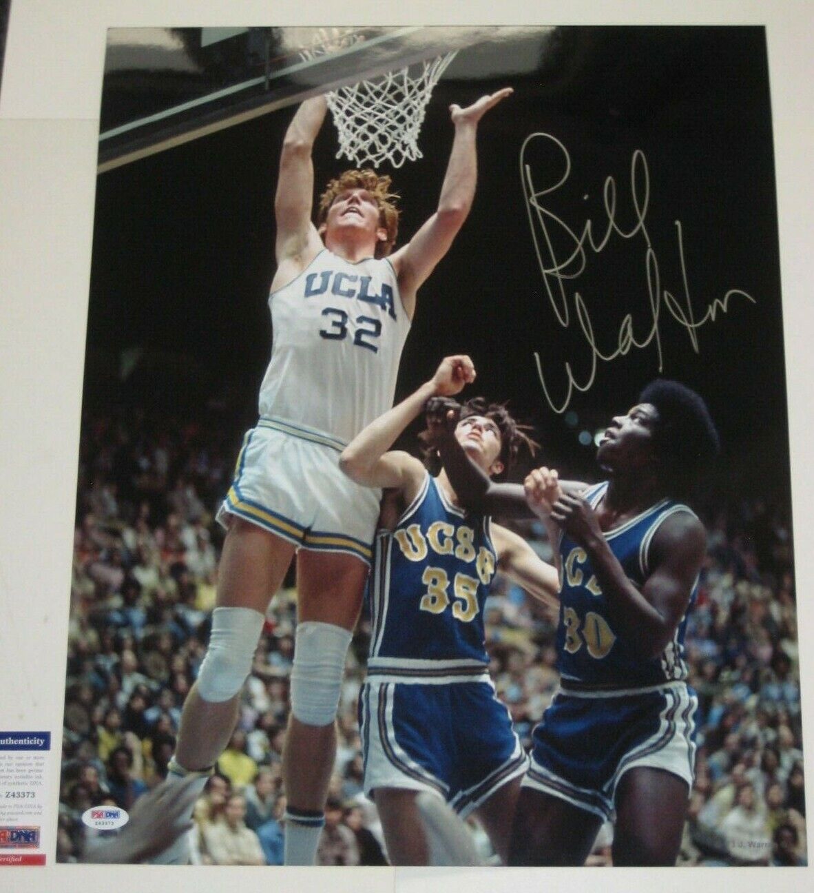 BILL WALTON Signed UCLA BRUINS 16x20 Photo Poster painting with PSA COA
