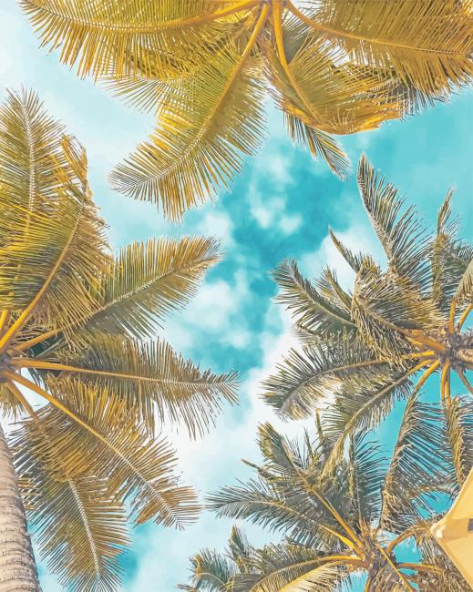 

Palms Photography – Paint By Numbers - 40*50CM, 501 Original