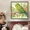 Perroquet-Peinture diamant en forme sp&eacute;ciale-30*30cm