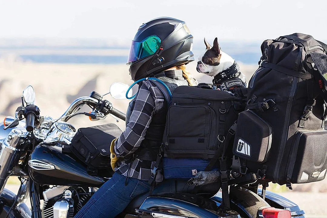 Portable Motorcycle Dog Carrier 