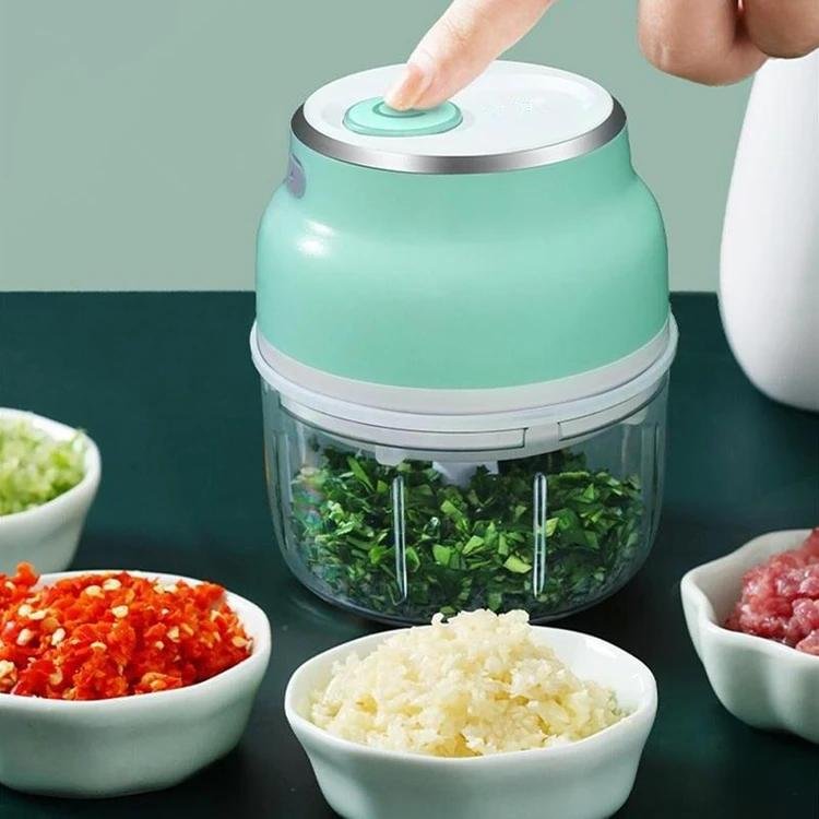 Mini Meat Grinder